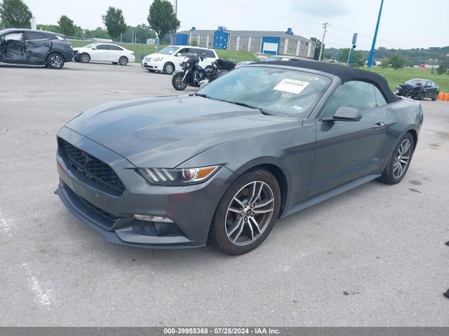 1FATP8UH5G5268939 Ford Mustang Ecoboost Premium