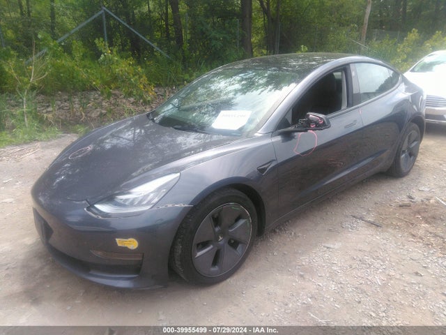 Tesla Model 3 Rear-wheel Drive 2022 5YJ3E1EA0NF295471 Image 2