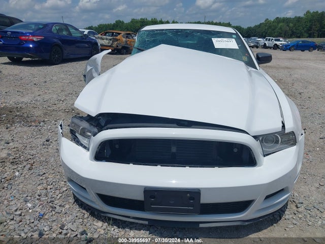 Ford Mustang V6 2014 1ZVBP8AM4E5257366 Image 12