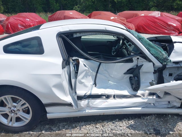 Ford Mustang V6 2014 1ZVBP8AM4E5257366 Image 13