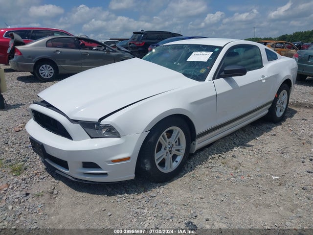 Ford Mustang V6 2014 1ZVBP8AM4E5257366 Image 2