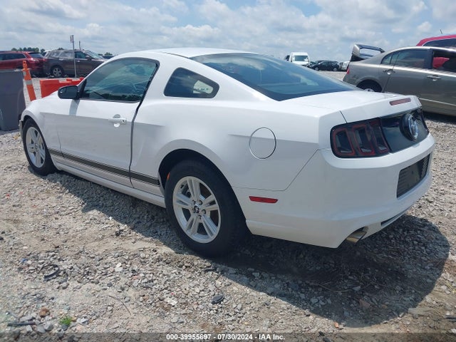 Ford Mustang V6 2014 1ZVBP8AM4E5257366 Image 3
