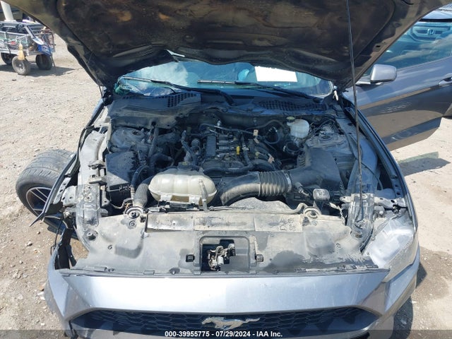 Ford Mustang Ecoboost Premium Fastback 2021 1FA6P8TH5M5122311 Image 10