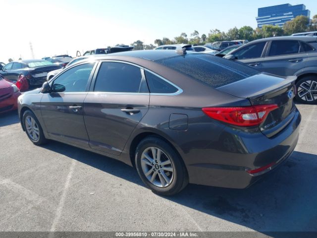 5NPE24AF8FH259163 Hyundai SONATA SE