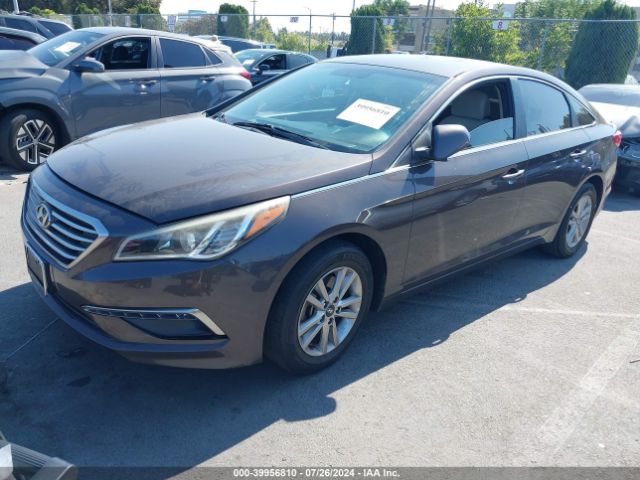 5NPE24AF8FH259163 Hyundai SONATA SE