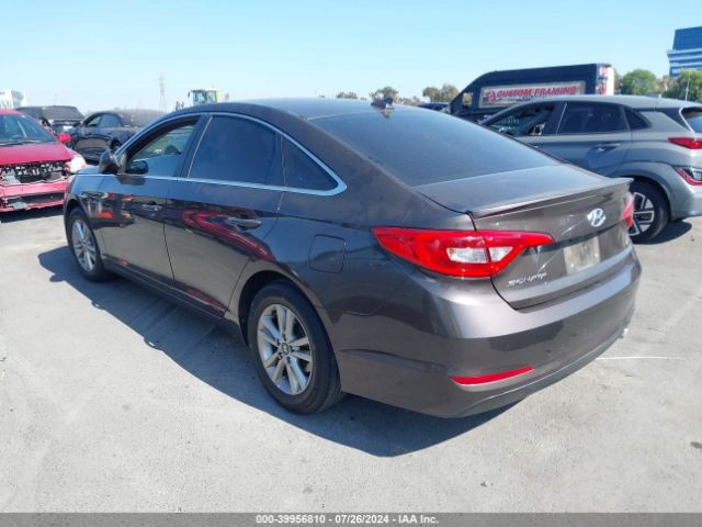5NPE24AF8FH259163 Hyundai SONATA SE