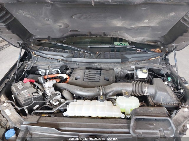 Ford F-150 Xlt 2023 1FTFW1ED3PFD09091 Image 10