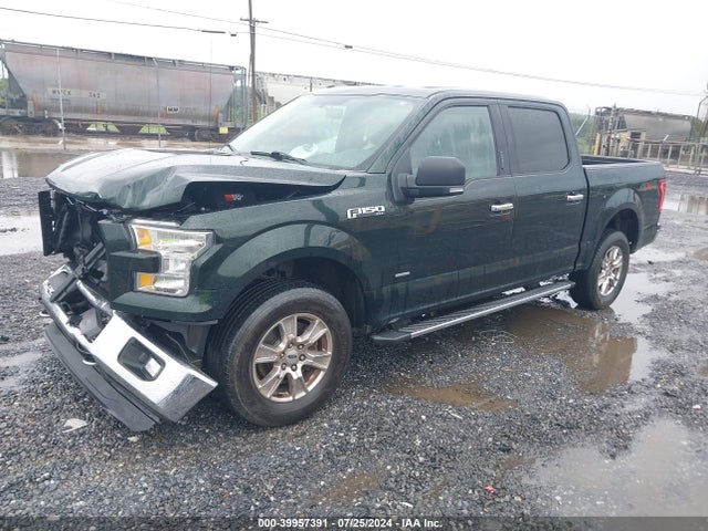 1FTEW1EP0GFA61789 Ford F-150 Xlt