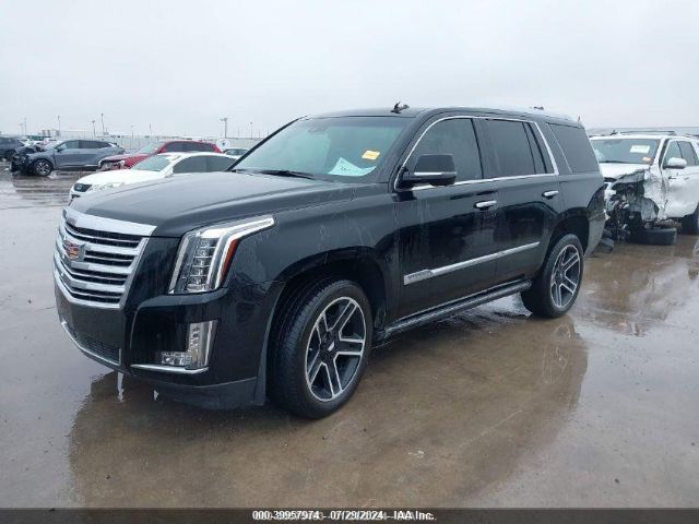 1GYS4PKJXFR607985 Cadillac Escalade Platinum