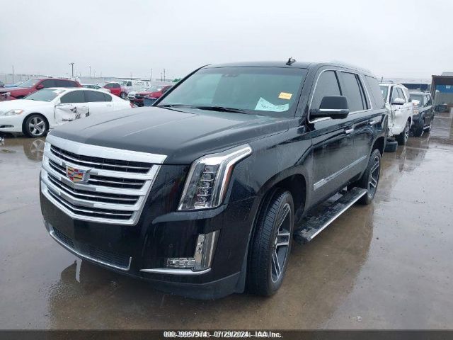 1GYS4PKJXFR607985 Cadillac Escalade Platinum