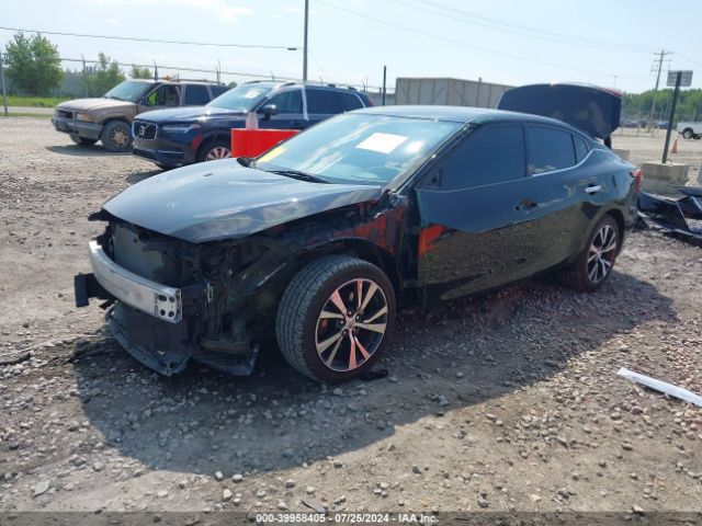 1N4AA6AP0GC429976 Nissan Maxima 3.5 S