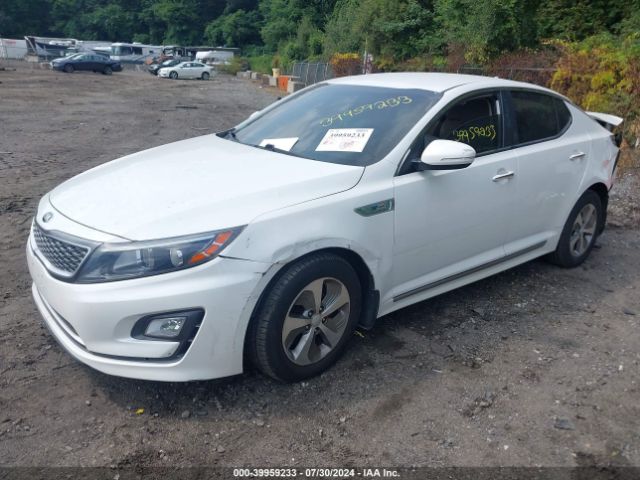 KNAGM4AD4F5081475 KIA OPTIMA HYBRID