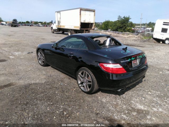 WDDPK4HA5FF097334 Mercedes-Benz SLK 250