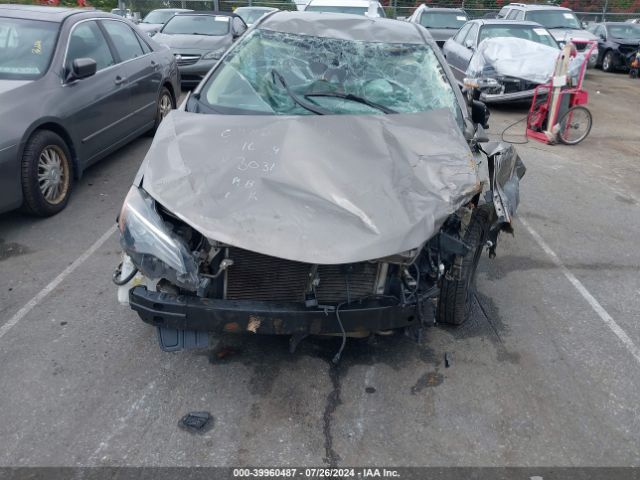 5YFBURHEXJP853031 Toyota Corolla L/le/se/xle/xse