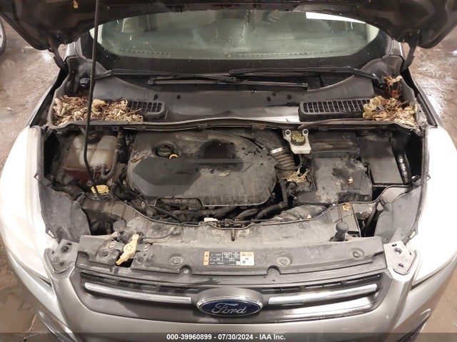 Ford ESCAPE SE 2014 1FMCU9GX5EUB81987 Image 10