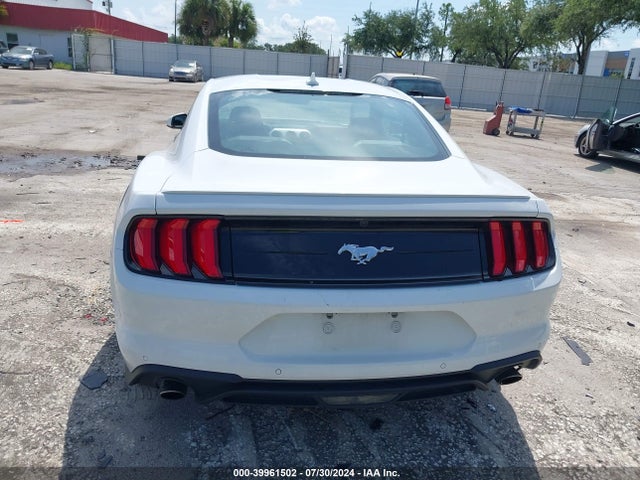 Ford Mustang Ecoboost Premium Fastback 2023 1FA6P8TH1P5104148 Image 16
