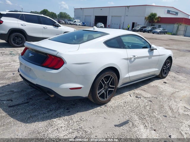 Ford Mustang Ecoboost Premium Fastback 2023 1FA6P8TH1P5104148 Image 4