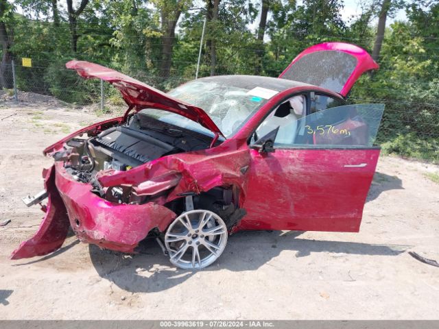 2024 TESLA MODEL Y 7SAYGDEE3RF992226 Photo 1
