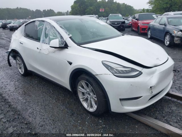 2022 TESLA MODEL Y 7SAYGAEE0NF382566 Photo 0