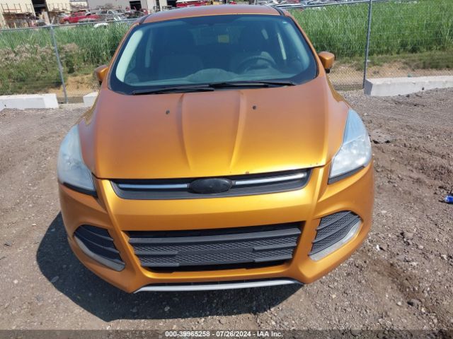 1FMCU9GX1GUA64748 Ford ESCAPE SE