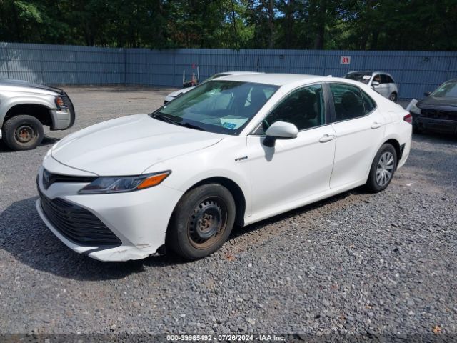 4T1C31AK9LU522807 Toyota Camry Le Hybrid