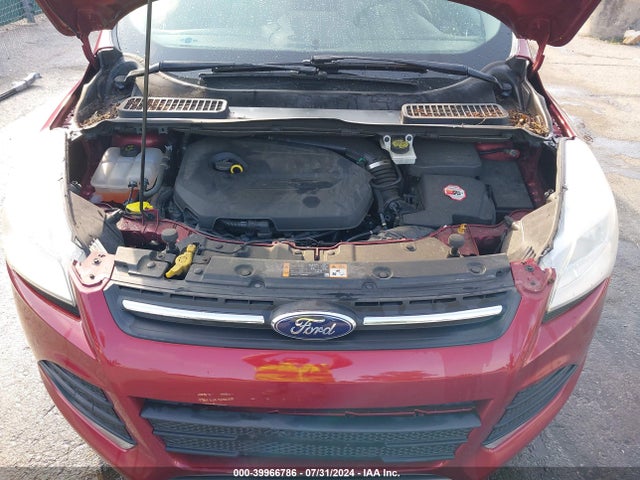 Ford ESCAPE SE 2014 1FMCU0GX5EUB93780 Image 10
