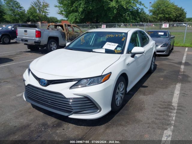 4T1C31AK8MU022638 Toyota Camry Le Hybrid