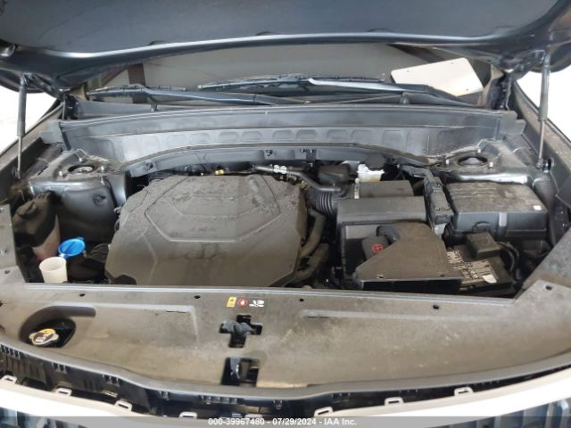 5XYP3DGC0PG343862 KIA Telluride Ex