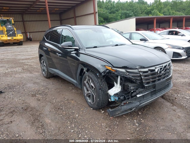 Hyundai Tucson Limited 2023 5NMJE3AE9PH191171 Image 6