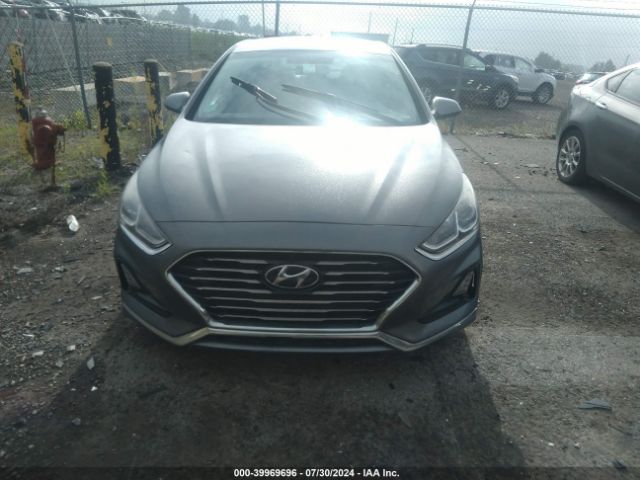 5NPE24AF5KH777791 Hyundai SONATA SE