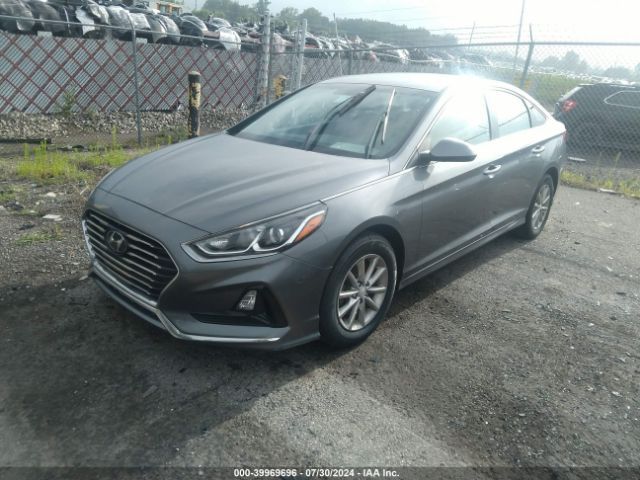 5NPE24AF5KH777791 Hyundai SONATA SE