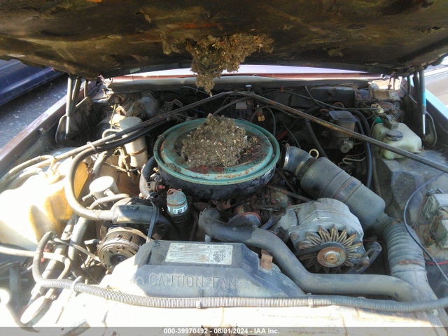 1980 CADILLAC SEVILLE 6S69NAE697602     Photo 9