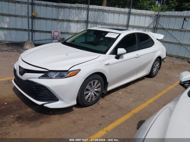 4T1E31AK5LU010745 Toyota Camry Le Hybrid