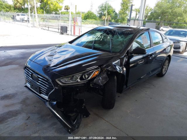 5NPE24AF8JH662875 Hyundai SONATA SE