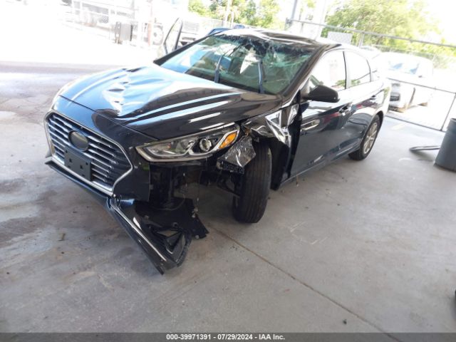 5NPE24AF8JH662875 Hyundai SONATA SE