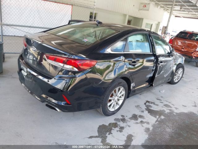 5NPE24AF8JH662875 Hyundai SONATA SE