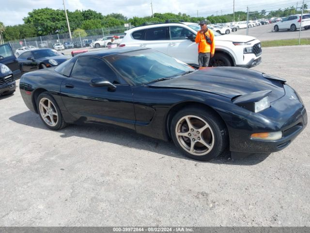 2004 CHEVROLET CORVETTE 1G1YY22G245109191