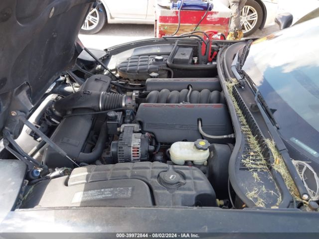 2004 CHEVROLET CORVETTE 1G1YY22G245109191 Photo 9