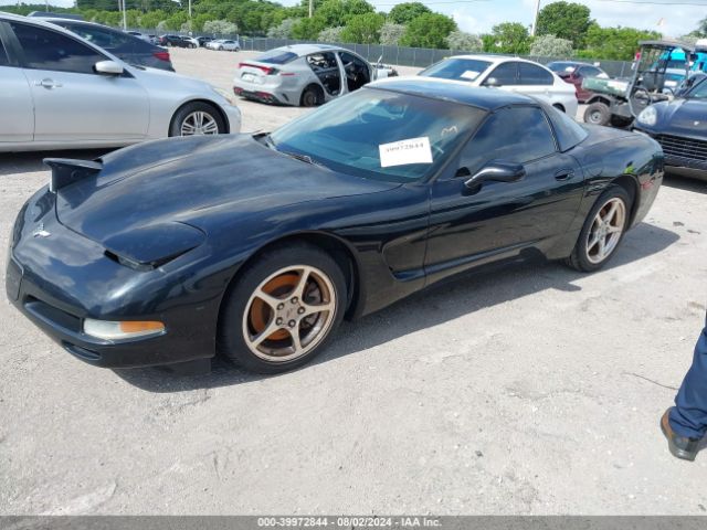 2004 CHEVROLET CORVETTE 1G1YY22G245109191 Photo 1