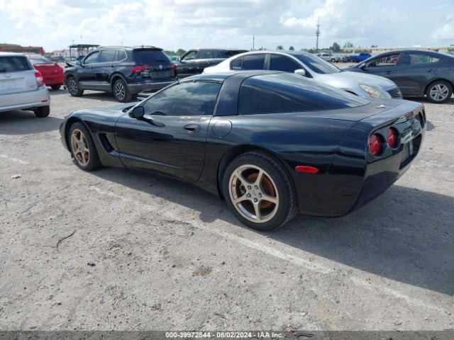 2004 CHEVROLET CORVETTE 1G1YY22G245109191 Photo 2