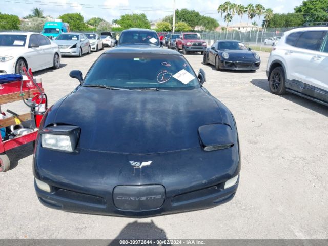 2004 CHEVROLET CORVETTE 1G1YY22G245109191 Photo 5