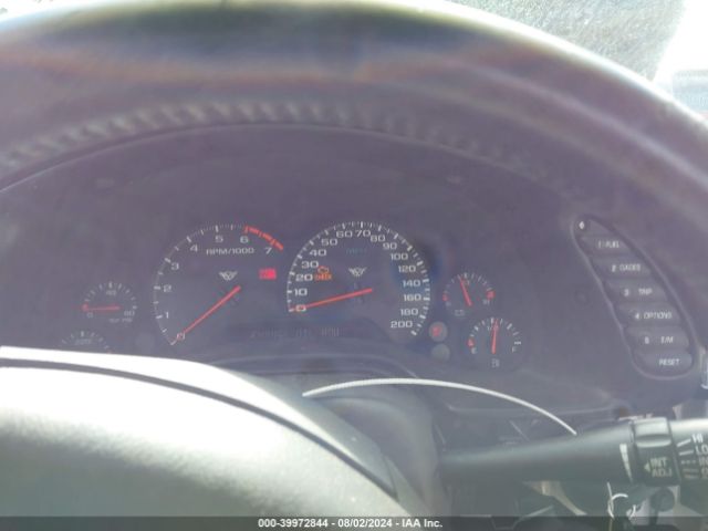 2004 CHEVROLET CORVETTE 1G1YY22G245109191 Photo 6