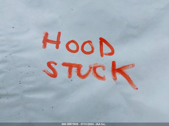 2003 JAGUAR S-TYPE SAJEA01T93FM52110 Photo 9