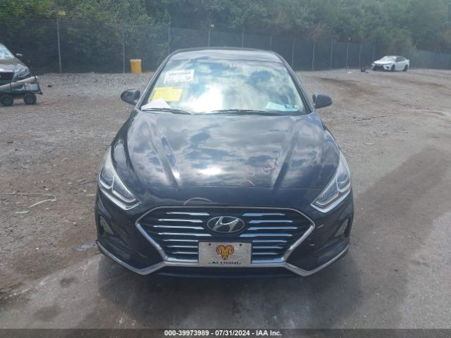5NPE24AF8JH598532 Hyundai SONATA SE