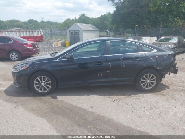 5NPE24AF8JH598532 Hyundai SONATA SE