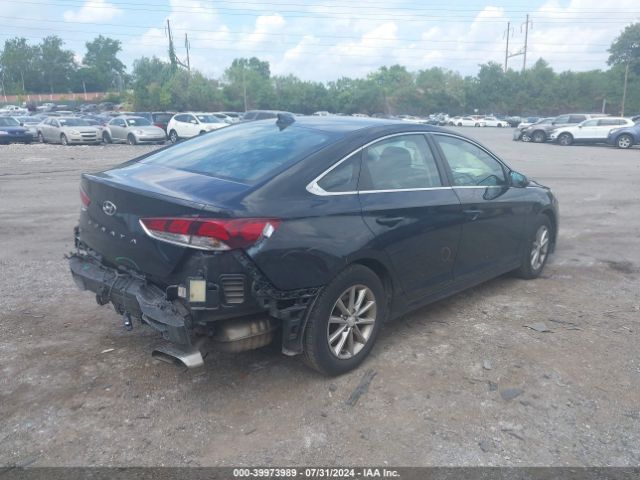 5NPE24AF8JH598532 Hyundai SONATA SE
