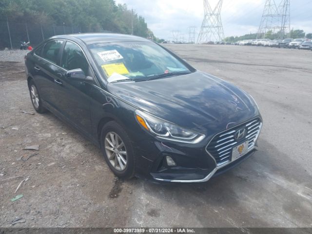 5NPE24AF8JH598532 Hyundai SONATA SE