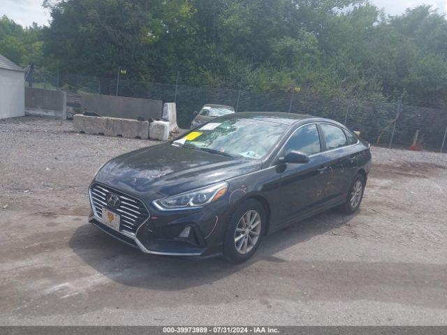 5NPE24AF8JH598532 Hyundai SONATA SE