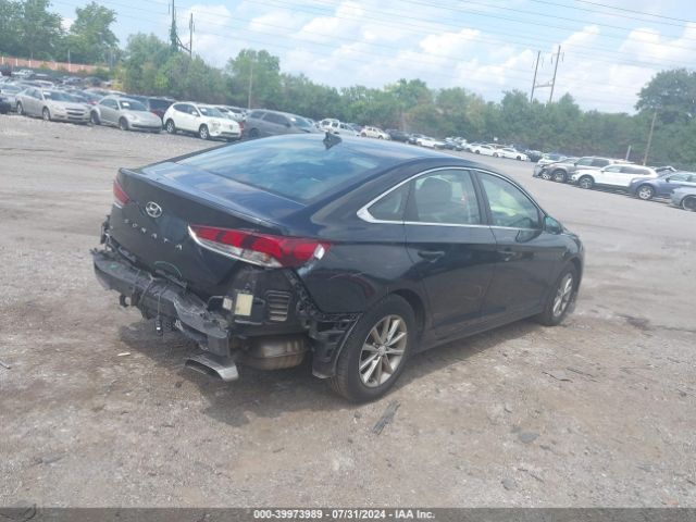 5NPE24AF8JH598532 Hyundai SONATA SE