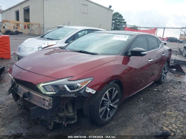 1N4AA6APXGC385338 Nissan Maxima 3.5 Platinum